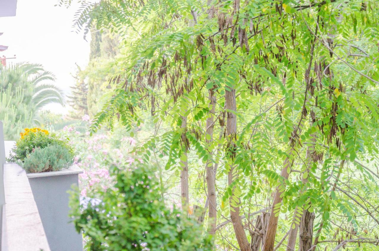Egeo Hotel Limenas  Ngoại thất bức ảnh